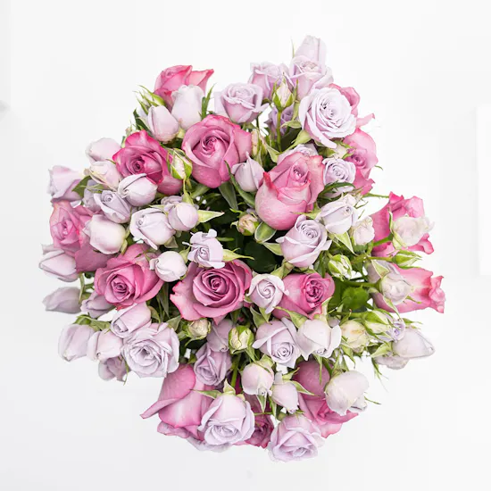 Purple Roses | Cylinder Vase