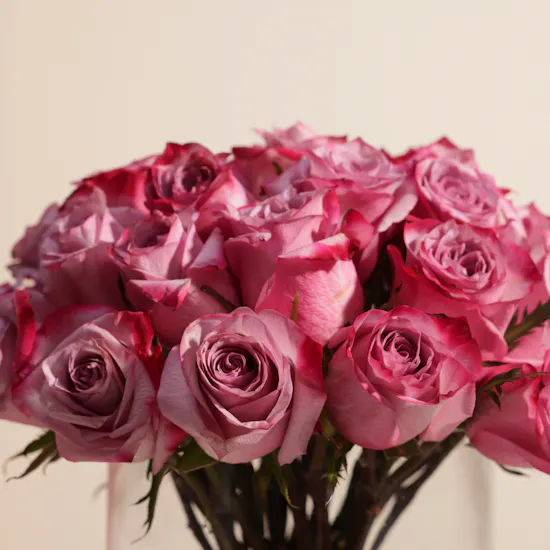Purple Roses Vase | 35 Flowers
