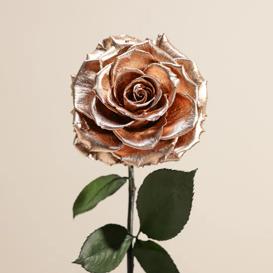 Shiny Gold Single Preserved Rose Dome