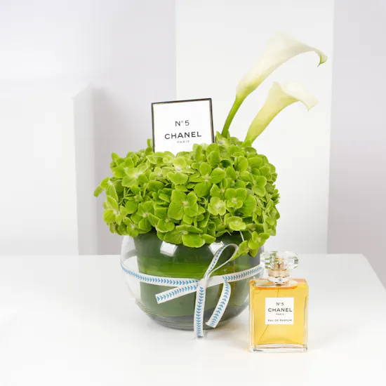 عطر شانيل رقم 5 50 مل | مزهرية هيدرنجا