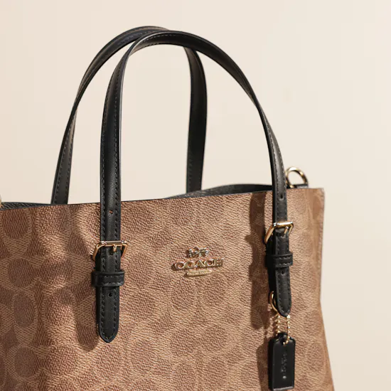 Coach Mollie Beige Women’s Tote Bag