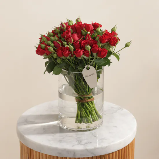 Ruby Cloud Flower Vase