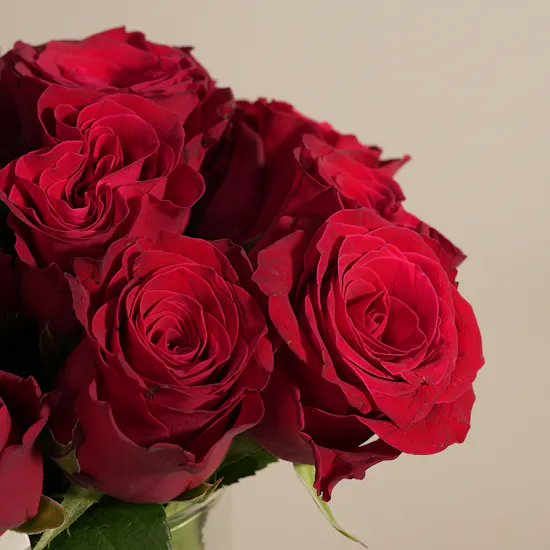 Stunning Red Roses Vase | 15 Flowers