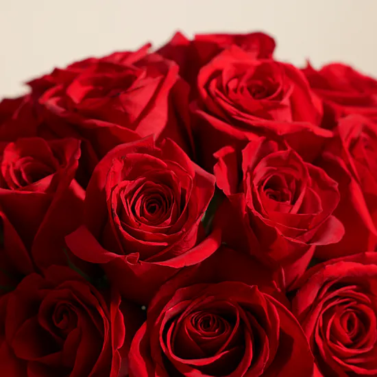 Blissful Red Roses Vase | 25 Roses