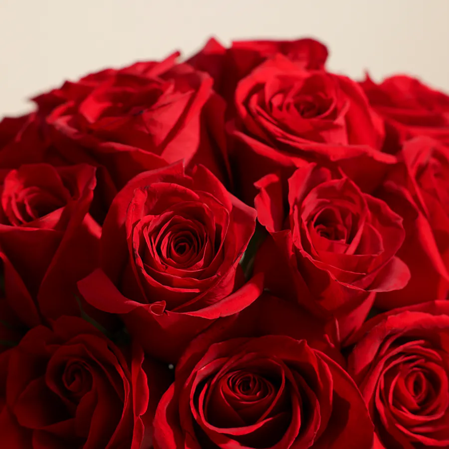 Blissful Red Roses Vase | 25 Roses 4