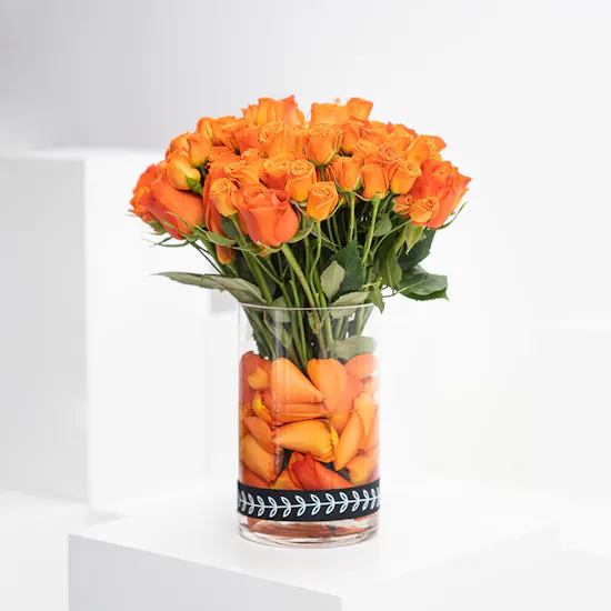 Vibes Of Orange | Baby Roses