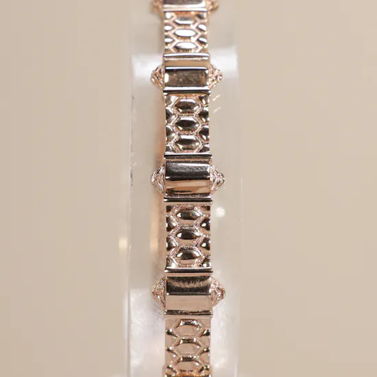 Roberto Cavalli By Franck Muller Diamond Scala Women's Watch