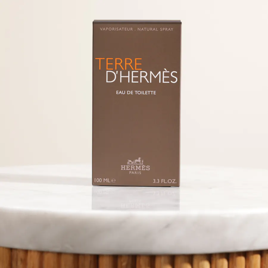 Hermès Terre D'Hermès EDT for Men | 100ml 2