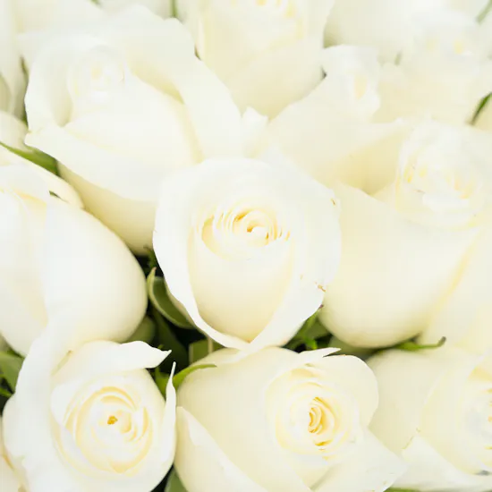ILY White Roses Bouquet