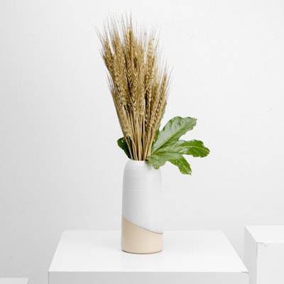 Tip of the Day Vase with Dried Flowers III