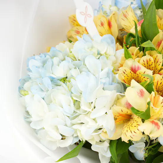 Sweet Spring | Birthday Blooms