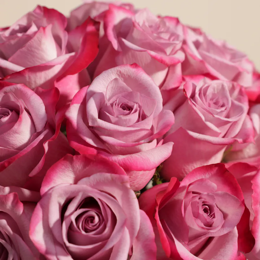 [USED IN AUTOMATION] Purple Roses Vase | 25 Flowers 5