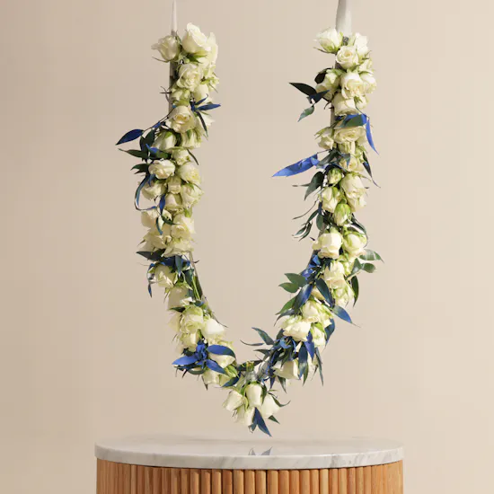 Cheerful Baby Rose White Hoop