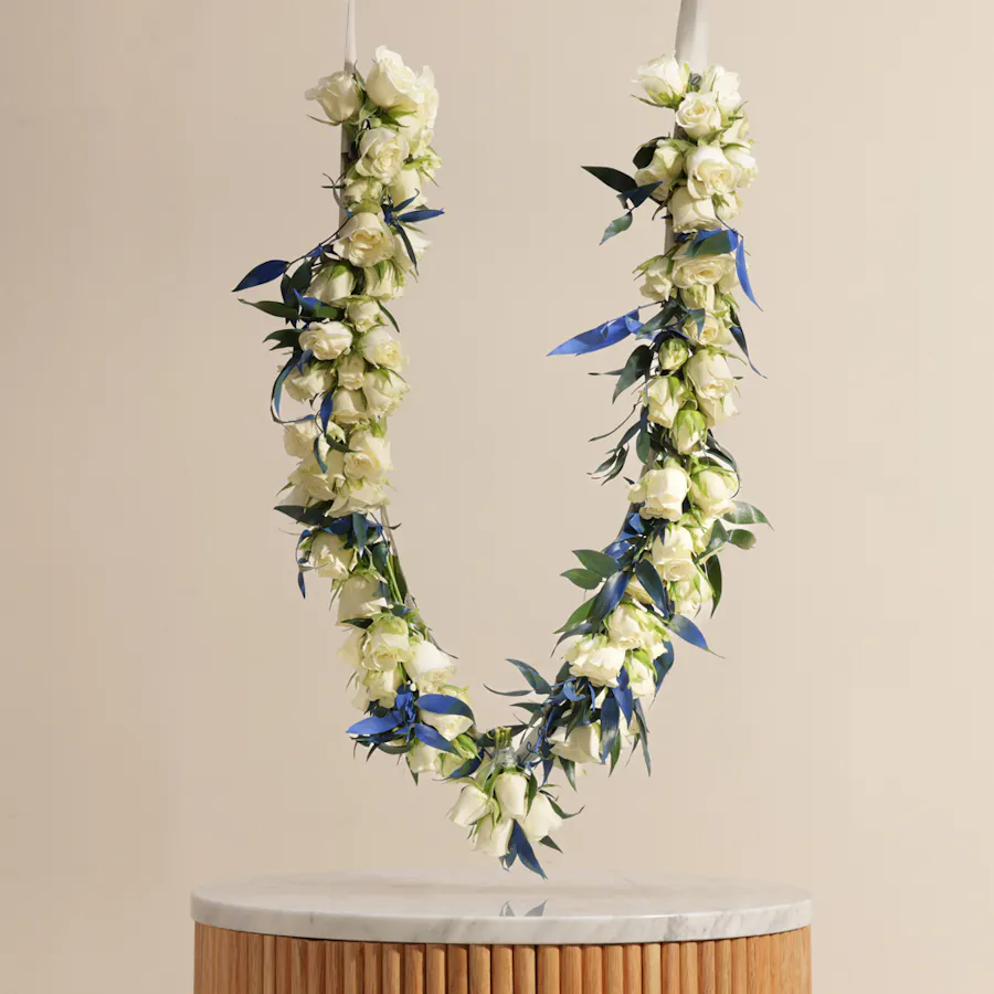 Cheerful Baby Rose White Hoop 2