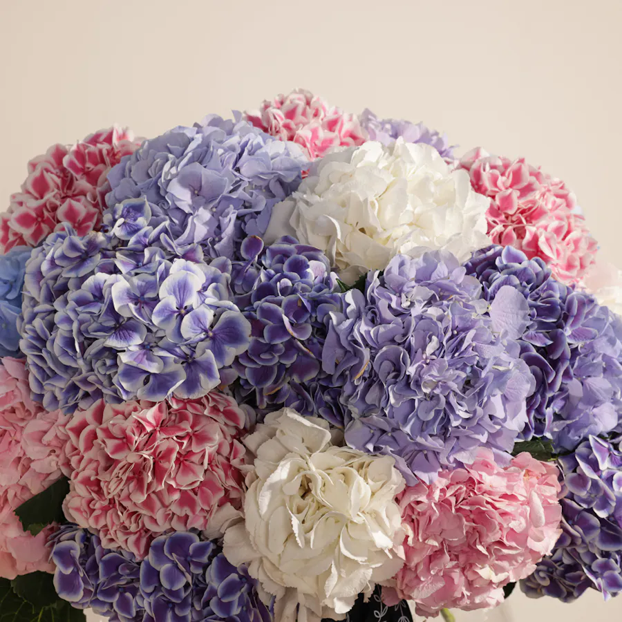 Elegant Hydrangea Vase  3