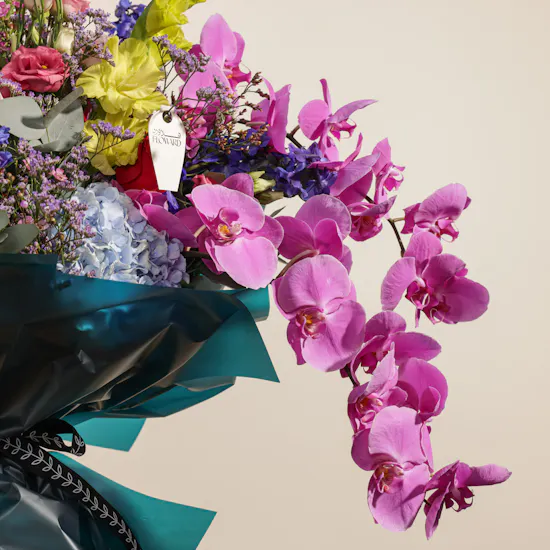 The Beauty of Blooms | Flowers Bouquet