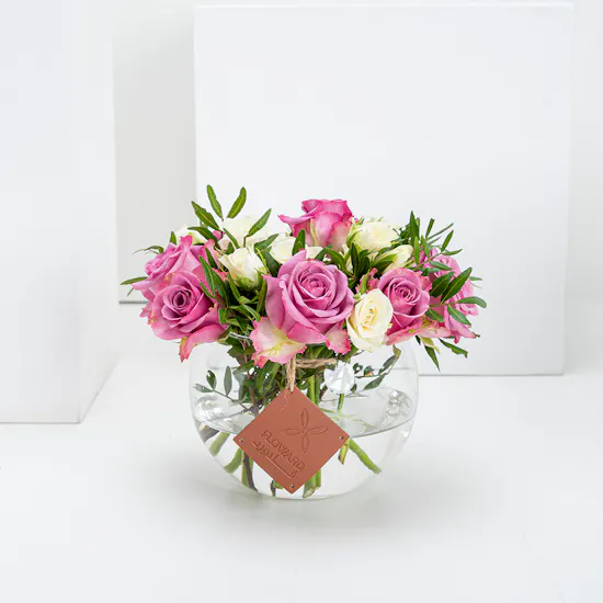 Favor | Baby White & Purple Roses