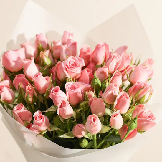 Pink Baby Rose Bouquet | 12 Flowers