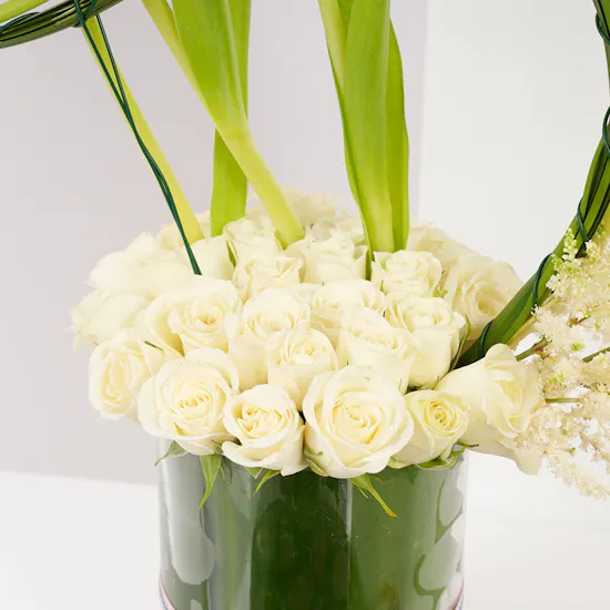 Hanoverian Mix Brand Box | Soft Elegance