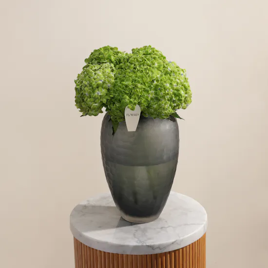 Simply Green Hydrangea Vase