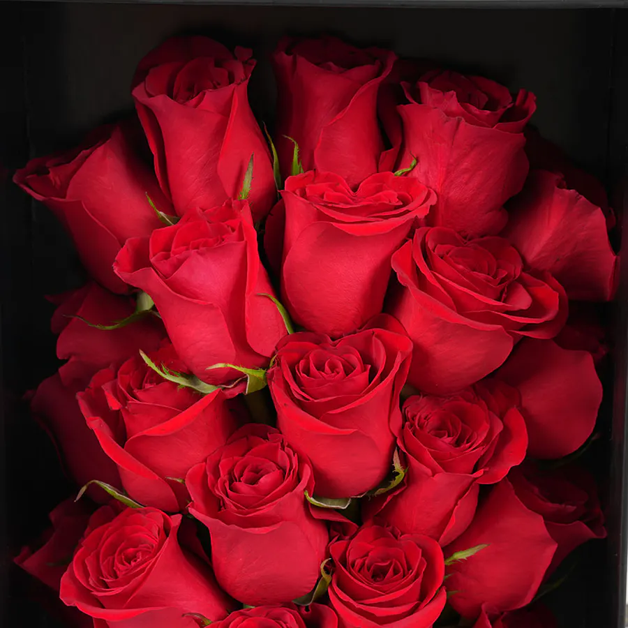Anoosh Chocolates | Red Roses  4