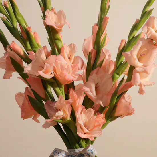 Sugar Babe Gladiolus Bouquet