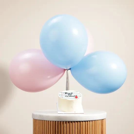 Cake Boutique Back to School Mini Cake | Balloons
