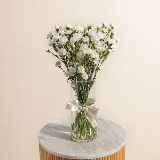 Pure White Baby Carnation Vase
