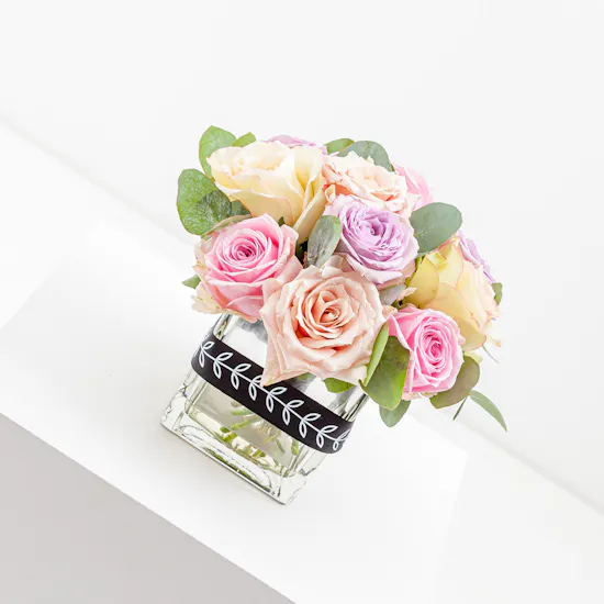 Pastel Promise