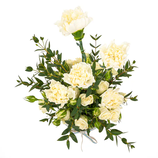 Dee Mama Sophie La Girafe Unisex Set | White Carnation
