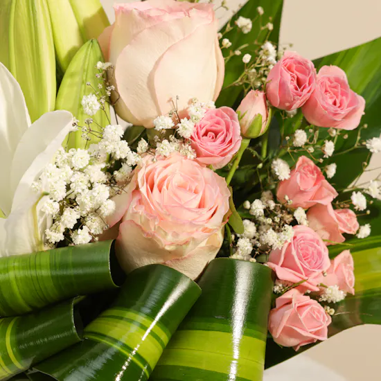 Esperance Rose | Glass Vase