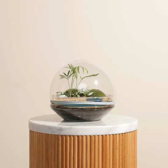 Nano Garden Closed Terrarium