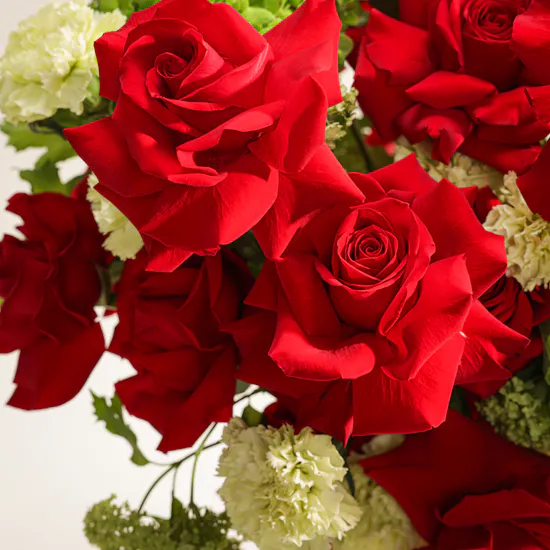 Crimson Wonder Flower Vase