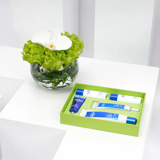 The Face Shop Dr. Belmeur Advanced Cica Recovery Cream Set with Blooms Vase