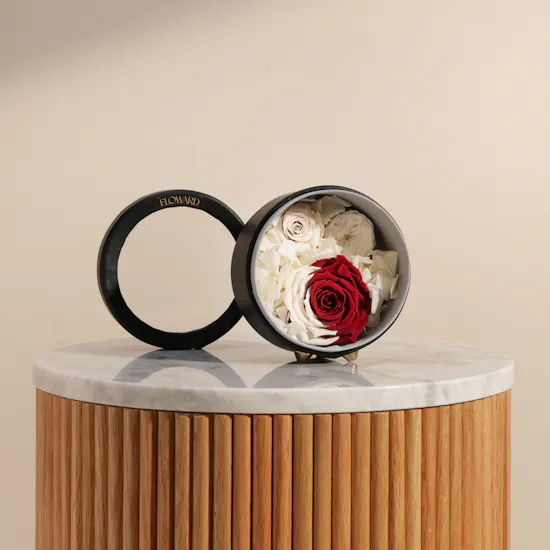 Qatar Flag Preserved Rose