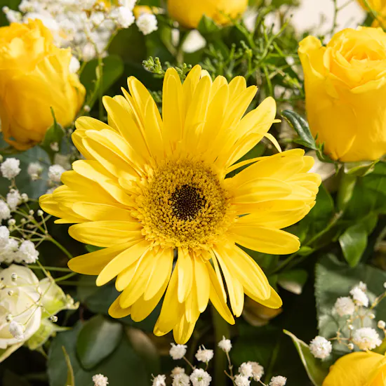 Whisper of Light Flowers Vase
