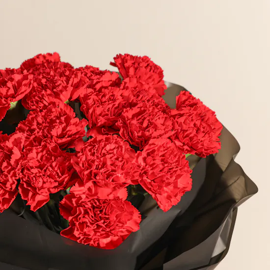 Luxury Red Carnation Bouquet