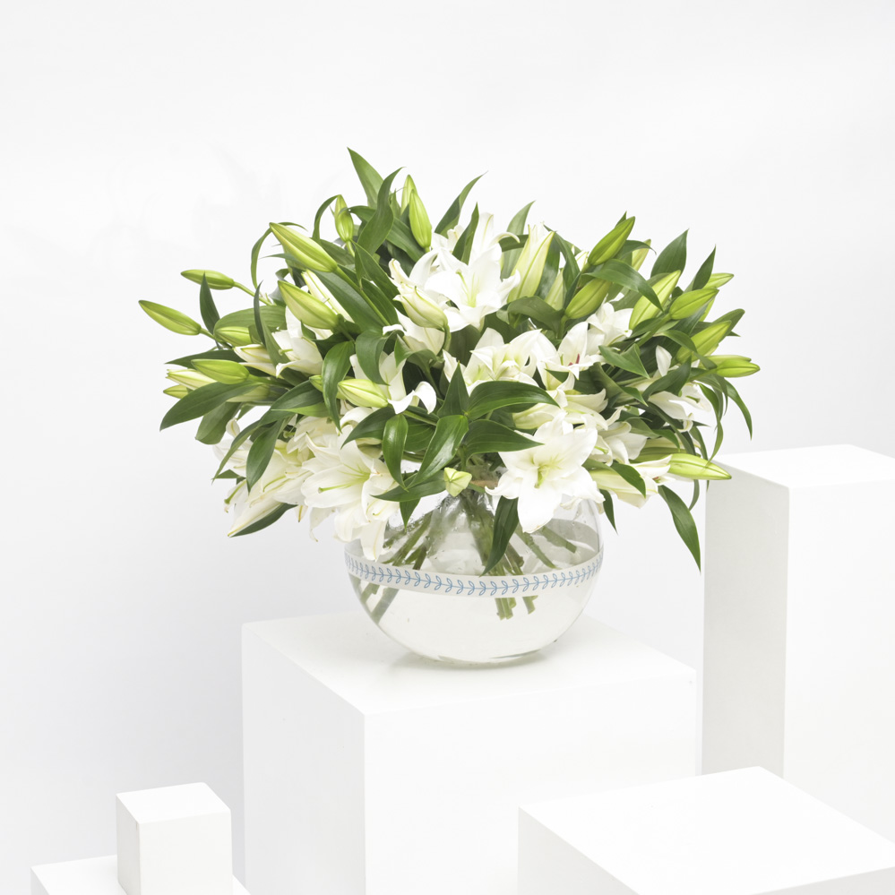 White Beauty | Flower Vase
