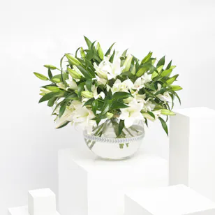 White Beauty | Flower Vase