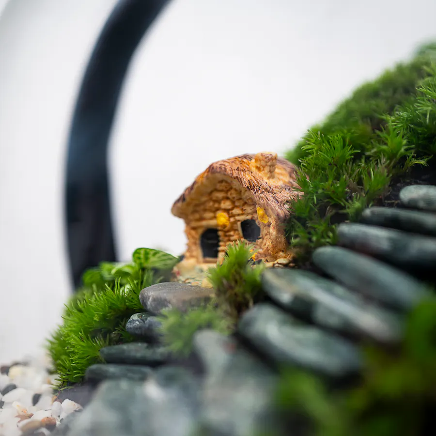 Little Forest Cottages | Closed Terrarium  5