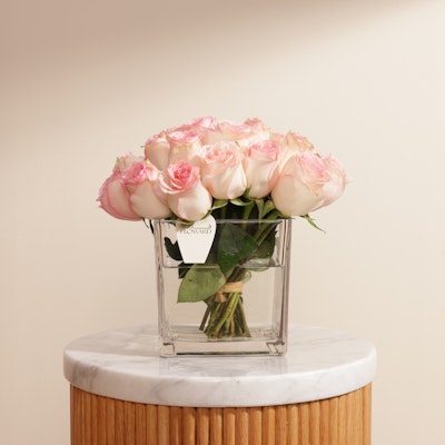 Esperance Rose | Square Glass Vase