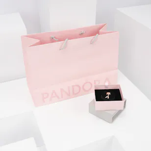 Pandora Openwork Heart & Two Feathers Dreamcatcher Charm