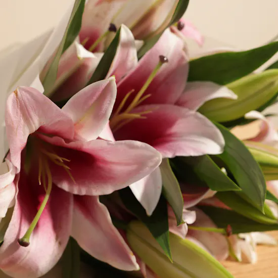 Blush Pink Lily Bouquet | 5 Flowers