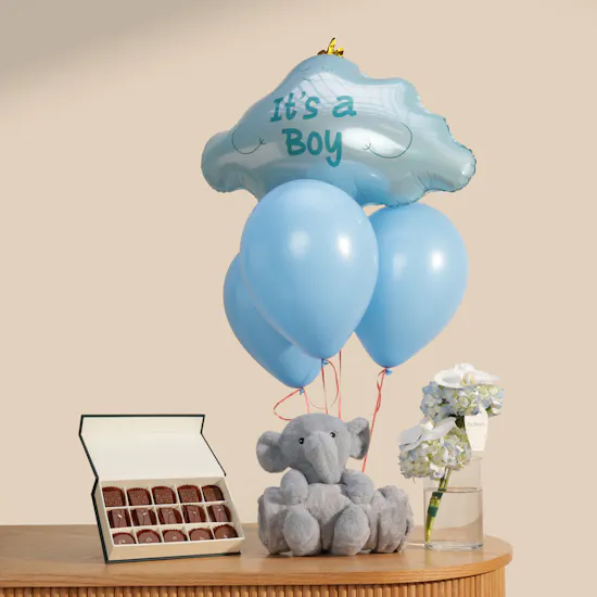 Little Prince Welcome Gift Set