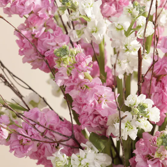 Keramos Studio Pink Delight Birthday Flowers Vase