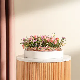 Opera Assorted Chocolate Tray | Delight Flowers 