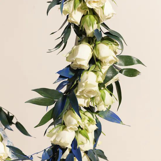 Cheerful Baby Rose White Hoop