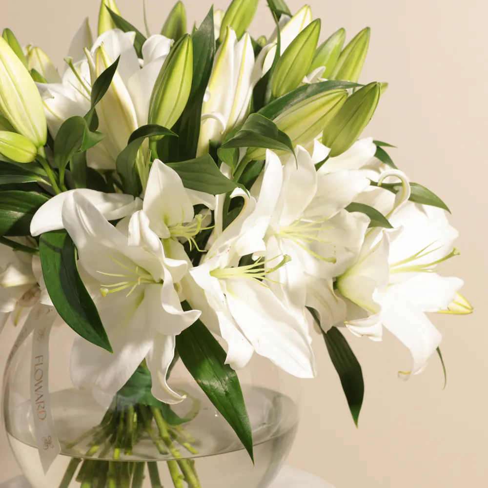 リリー様 Buy and send Elegant White Lilies Vase | 20 Flowers gift Online in