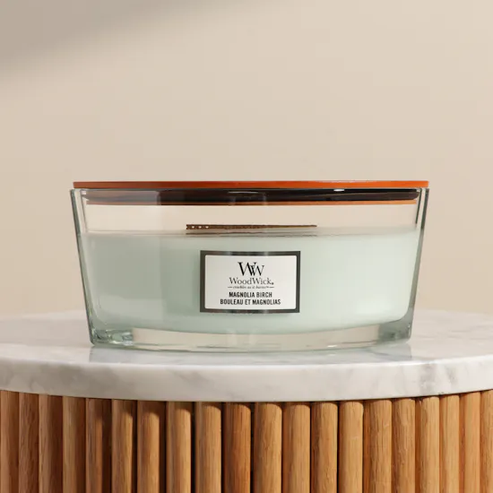 Woodwick Ellipse Magnolia Birch Candle