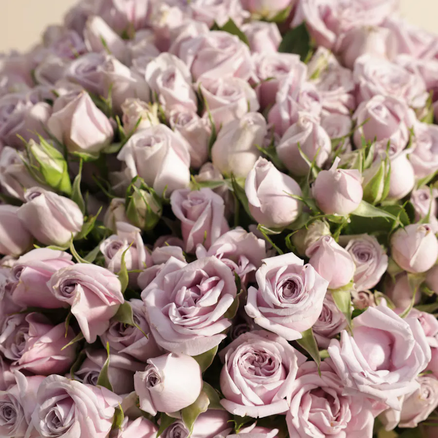 Violet Grace Bouquet | 100 Baby Roses 3